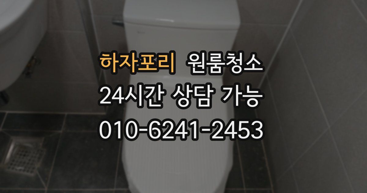 하자포리 입주청소