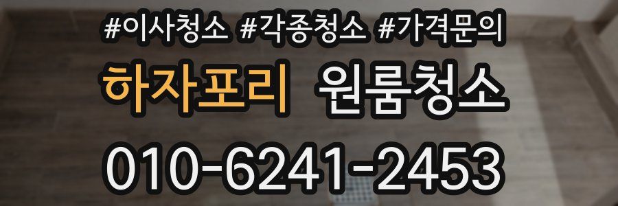 하자포리 이사청소