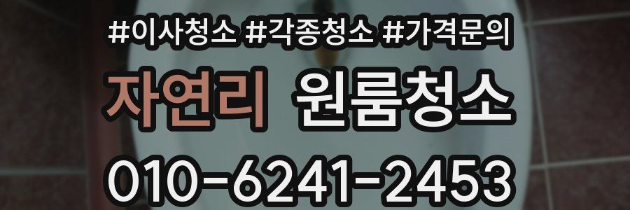 자연리 이사청소