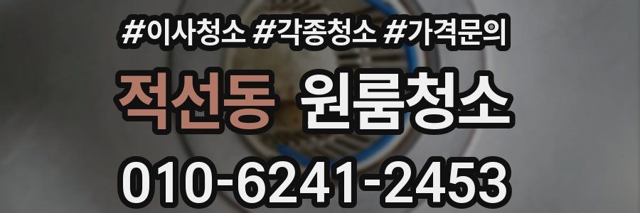 적선동 이사청소