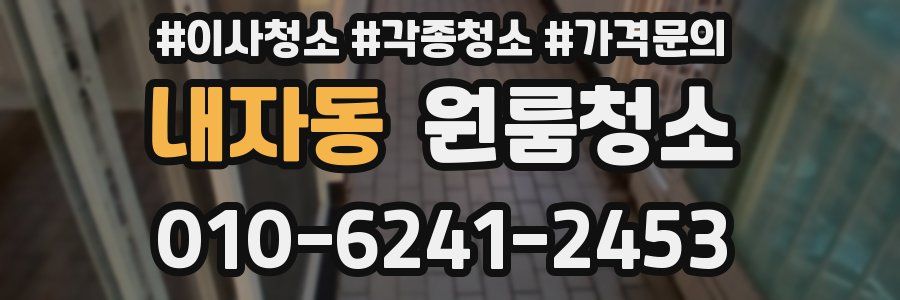 내자동 이사청소