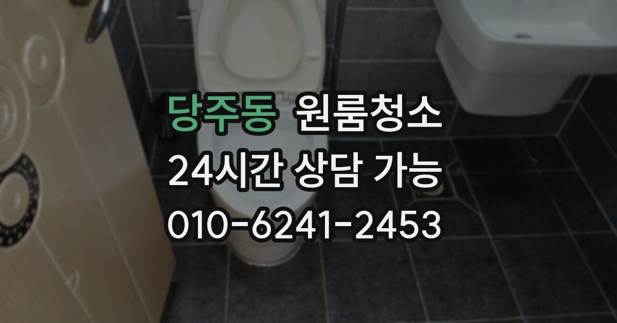 당주동 입주청소