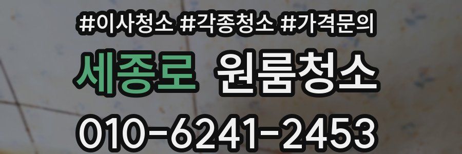 세종로 이사청소