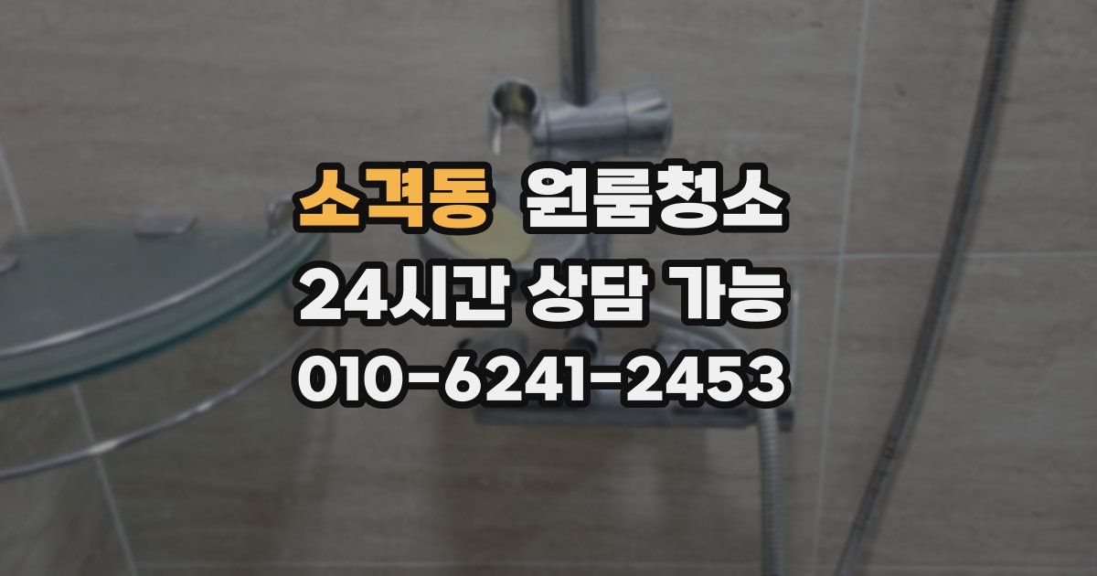 소격동 입주청소