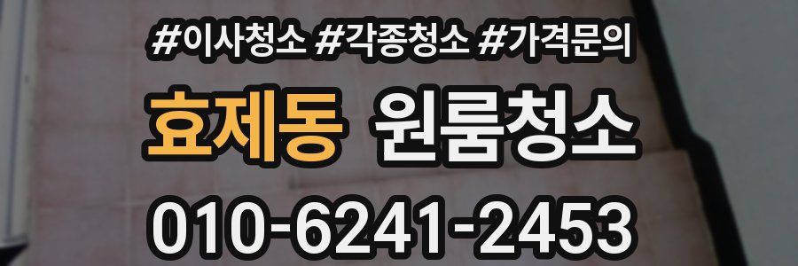 효제동 이사청소