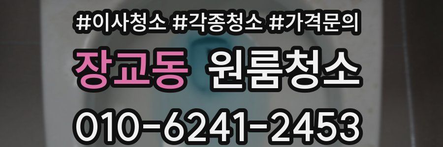 장교동 이사청소