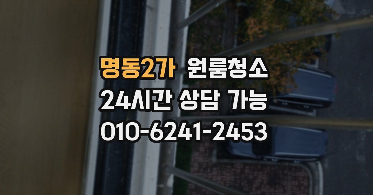 명동2가 입주청소