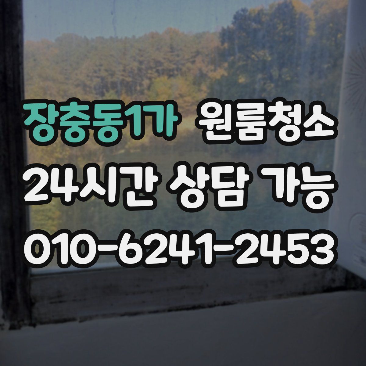 장충동1가 원룸청소