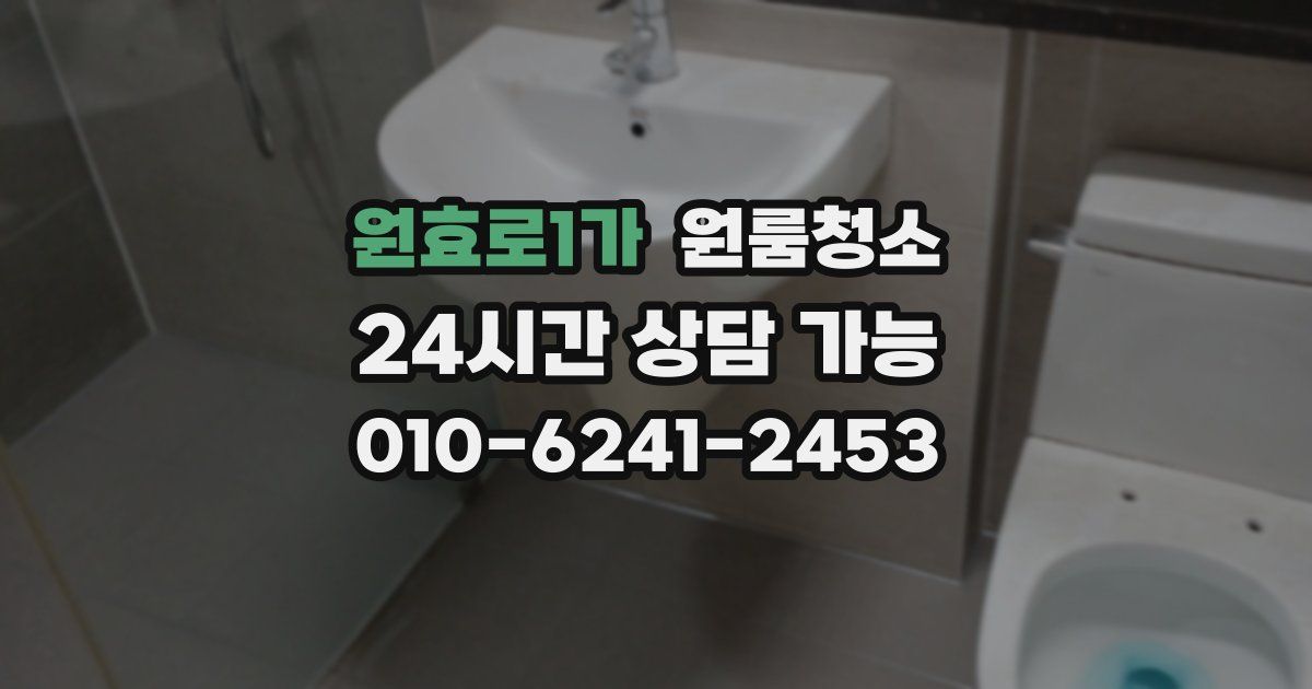 원효로1가 입주청소
