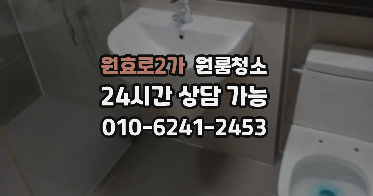 원효로2가 입주청소