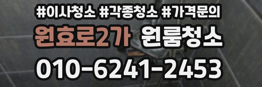 원효로2가 이사청소