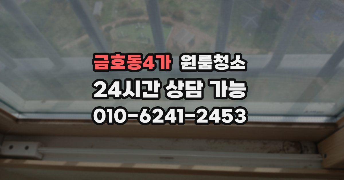 금호동4가 입주청소