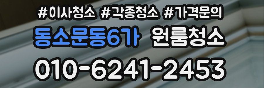 동소문동6가 이사청소