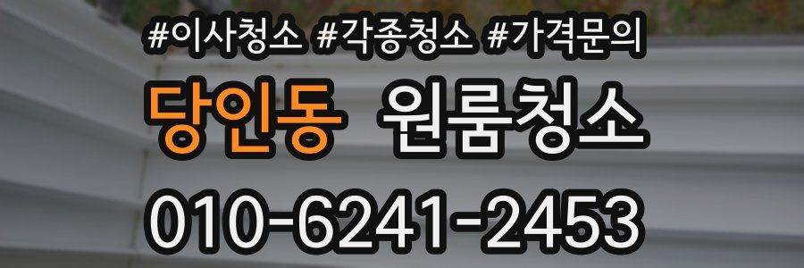 당인동 이사청소