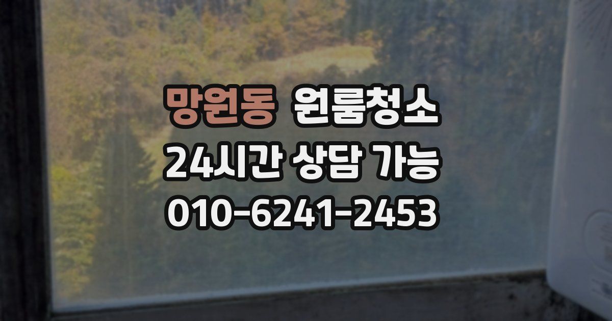 망원동 입주청소