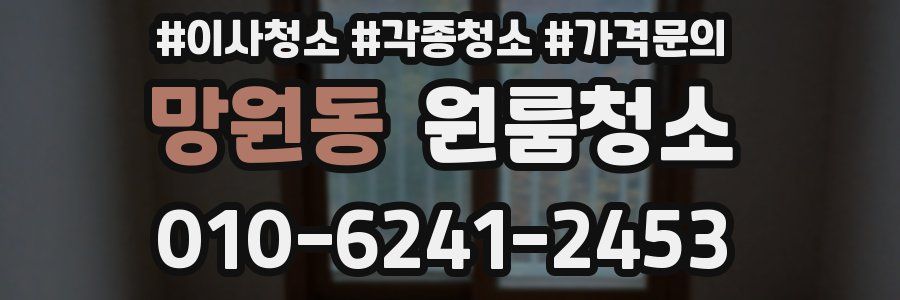 망원동 이사청소