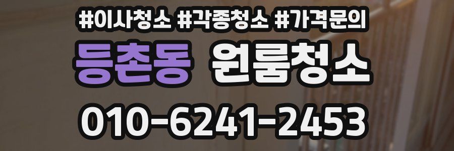 등촌동 이사청소