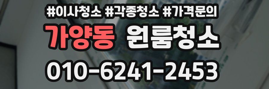 가양동 이사청소