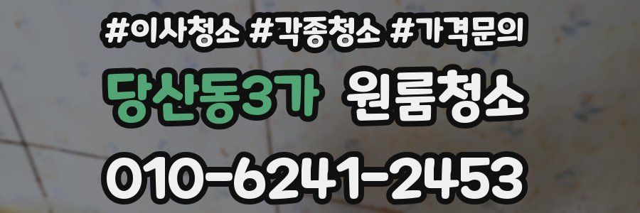 당산동3가 이사청소
