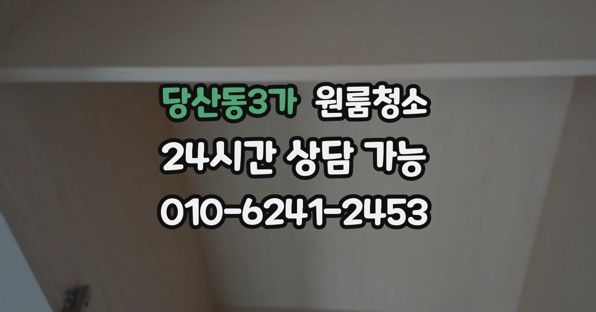 당산동3가 입주청소