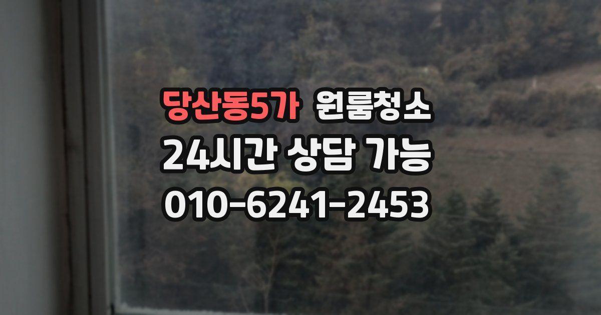 당산동5가 입주청소