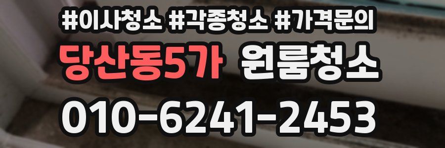 당산동5가 이사청소