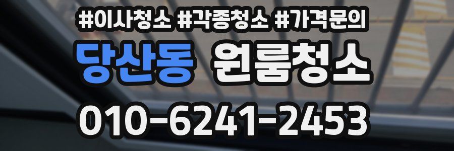 당산동 이사청소