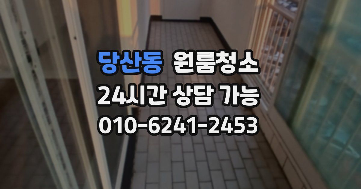 당산동 입주청소