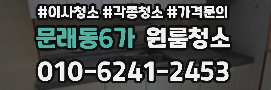 문래동6가 이사청소