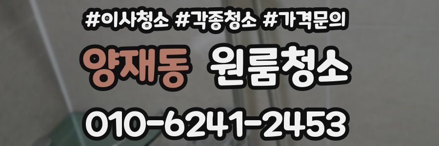 양재동 이사청소