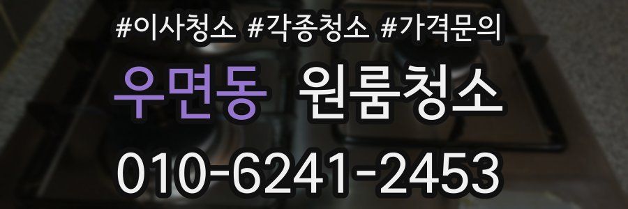 우면동 이사청소