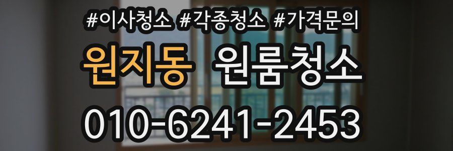 원지동 이사청소