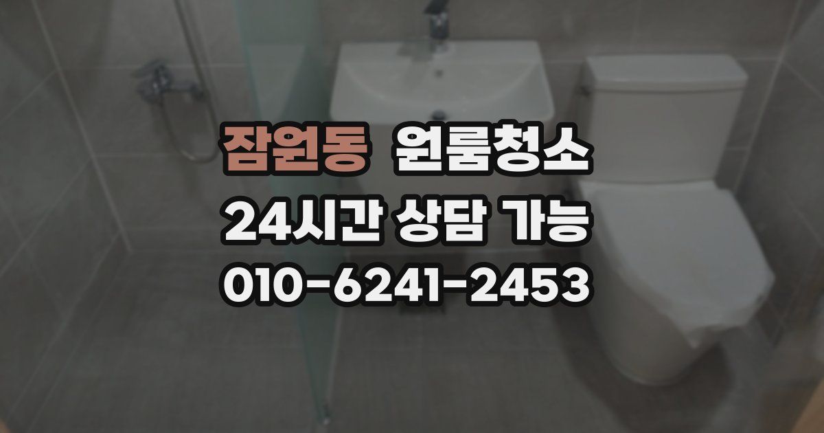 잠원동 입주청소