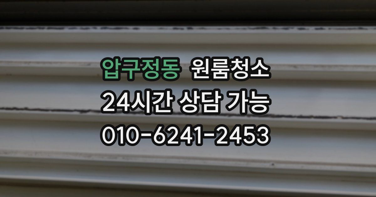 압구정동 입주청소