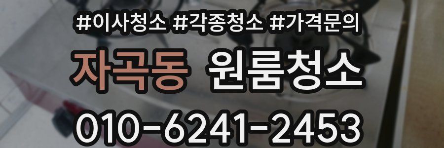 자곡동 이사청소