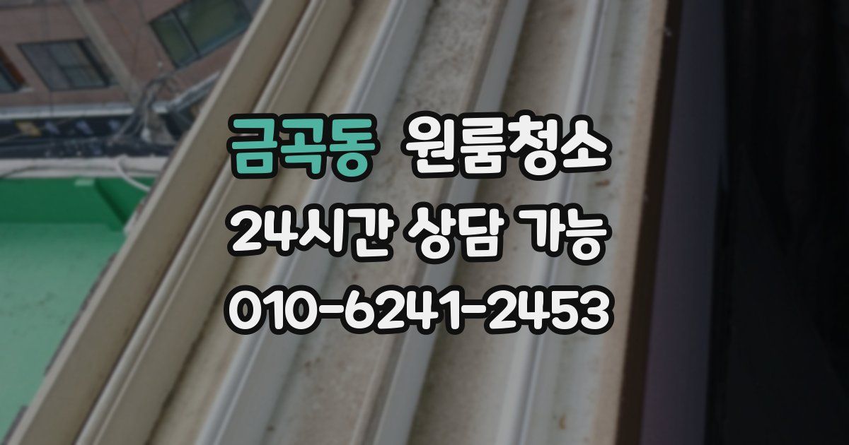 금곡동 입주청소