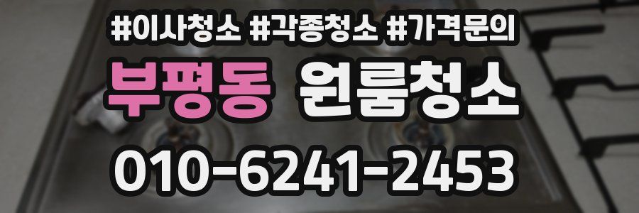 부평동 이사청소