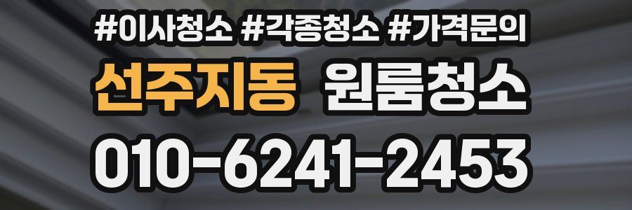 선주지동 이사청소