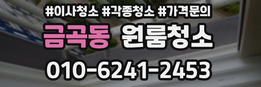 금곡동 이사청소