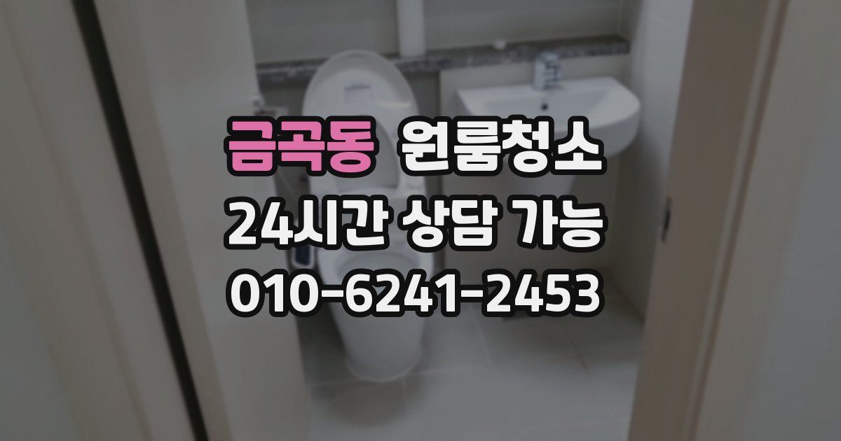 금곡동 입주청소