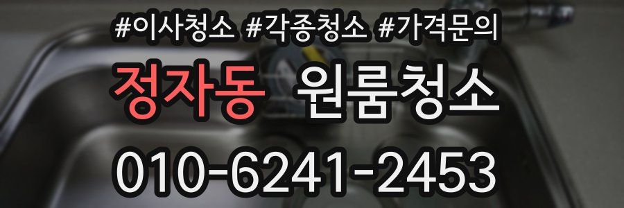 정자동 이사청소