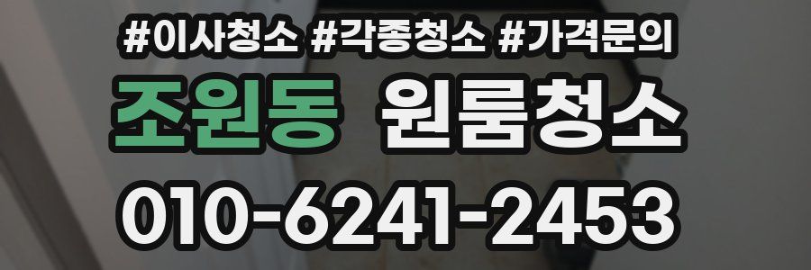 조원동 이사청소