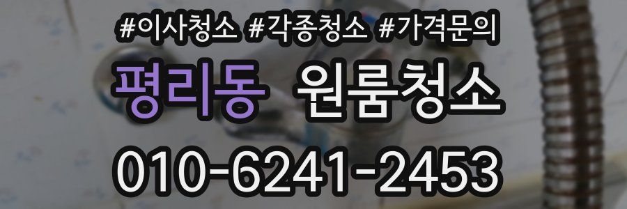 평리동 이사청소