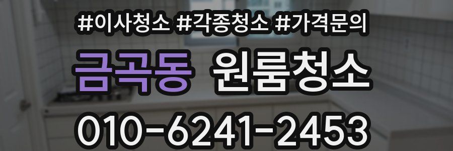 금곡동 이사청소