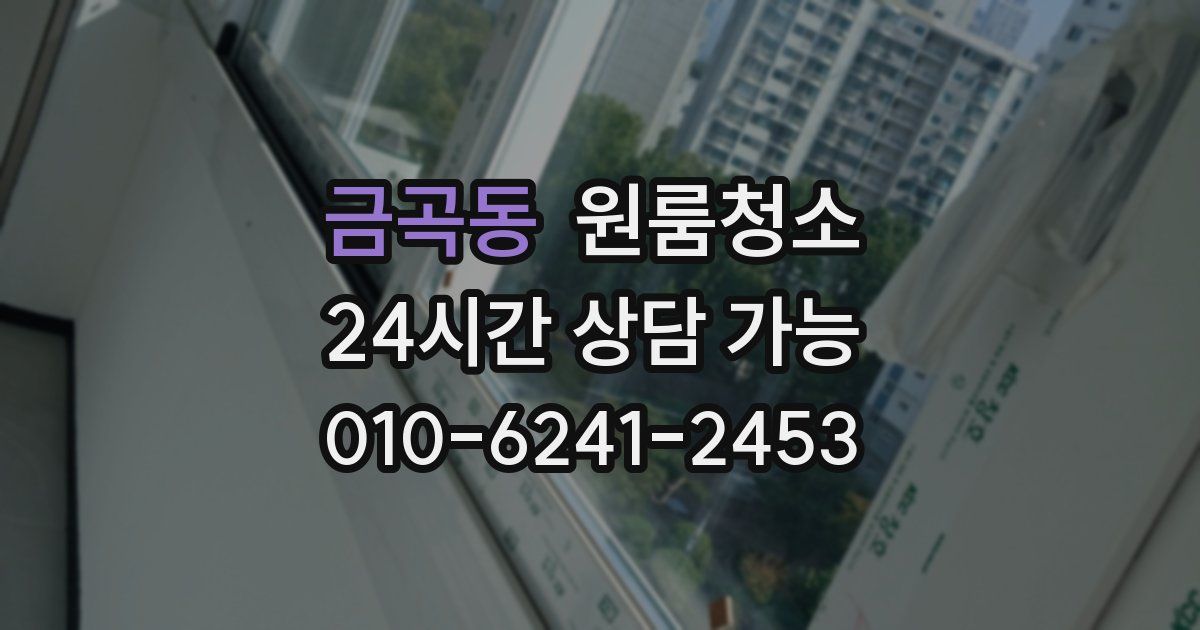 금곡동 입주청소