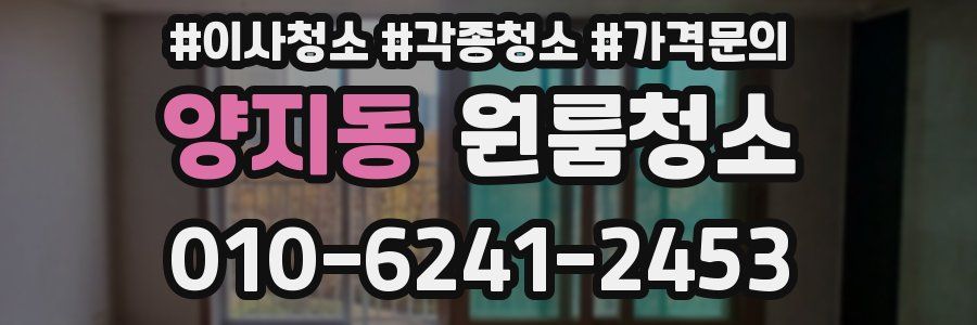 양지동 이사청소