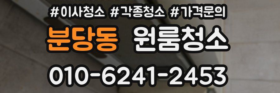 분당동 이사청소
