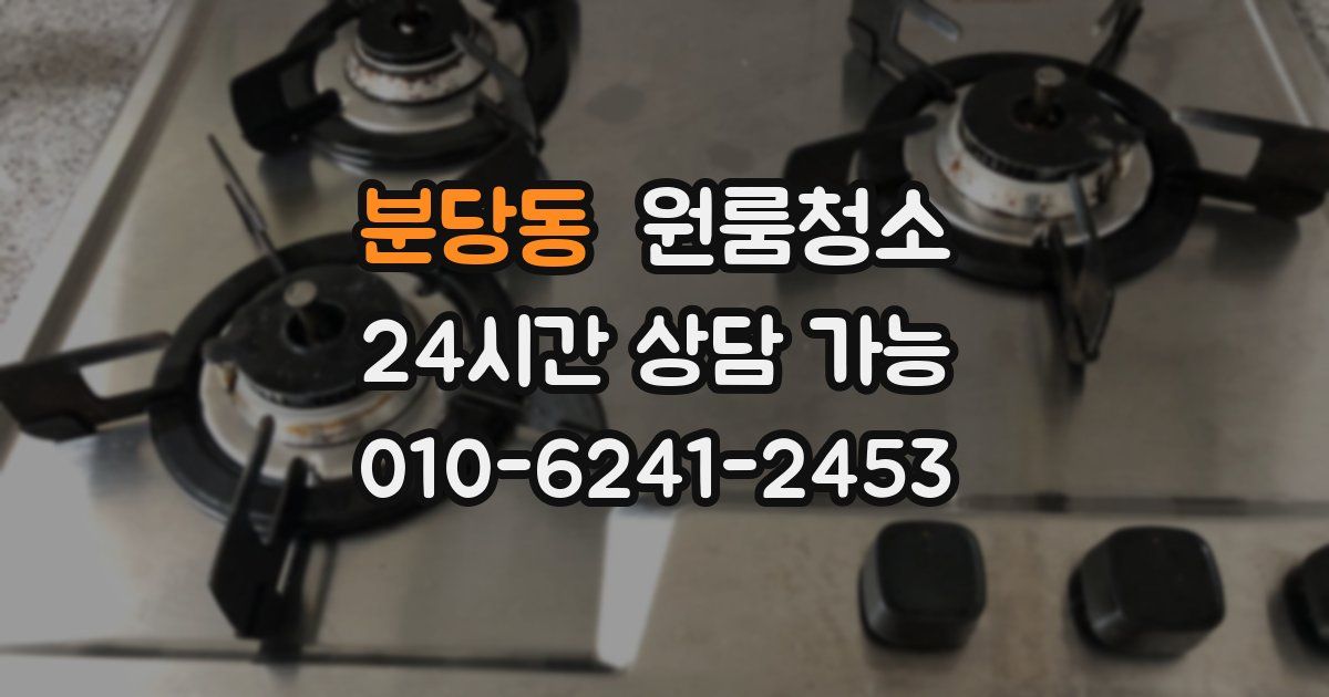 분당동 입주청소