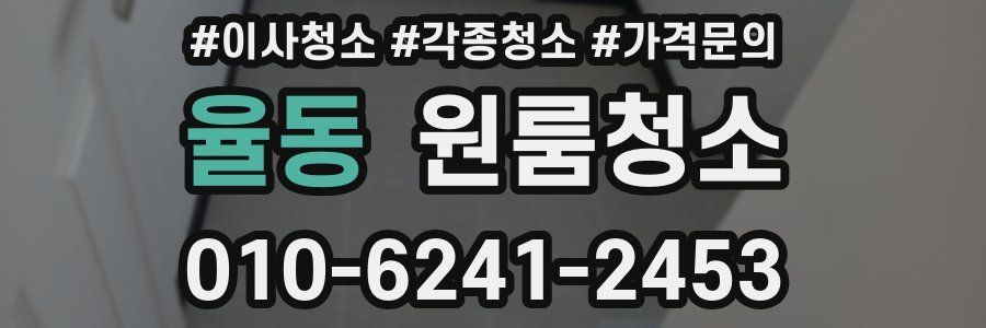 율동 이사청소