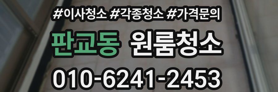 판교동 이사청소